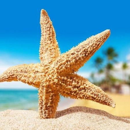 Sea Star Apartments โอเดสซา ภายนอก รูปภาพ