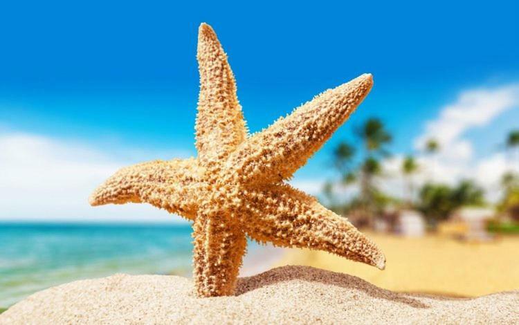 Sea Star Apartments โอเดสซา ภายนอก รูปภาพ